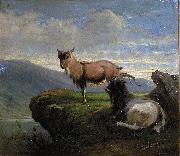 unknow artist Chamois in the mountains Sweden oil painting artist